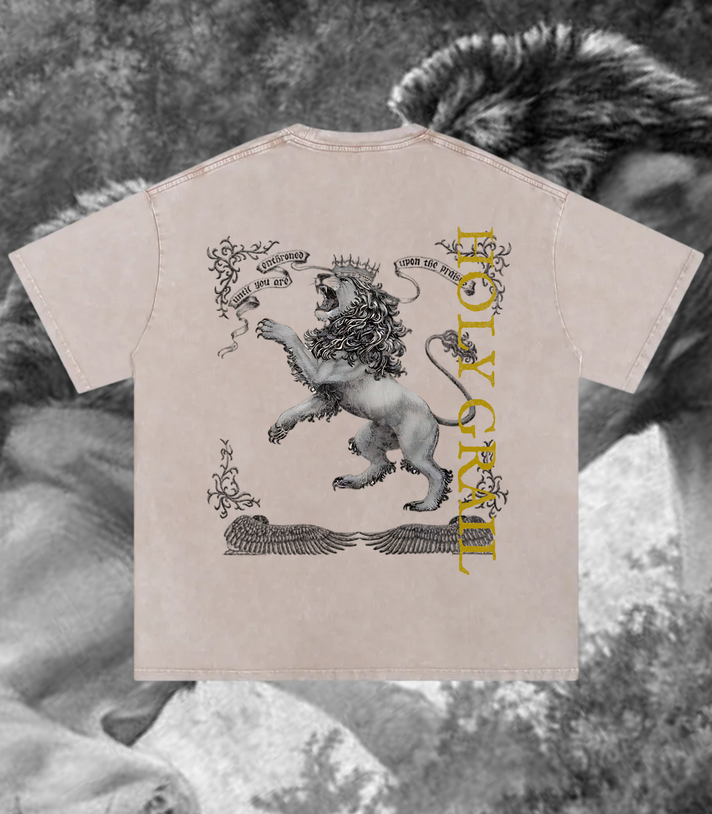 Holy Grail -King of Kings - Acid Wash Oversize T-Shirt - 250 GSM - 2 WEEKS TO SHIP